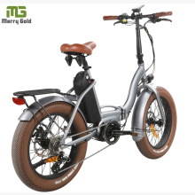 Lithium Battery Folding E Bike/Folding Electric Bike/Mini Bicycle/Foldable Ebike 48V